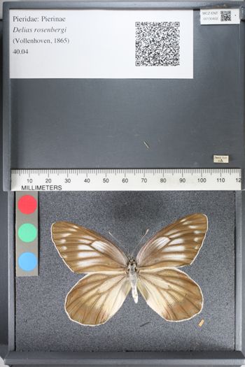 Media type: image;   Entomology 130402